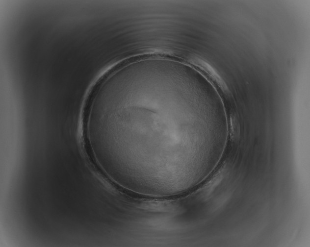 X0000100760780200806261604