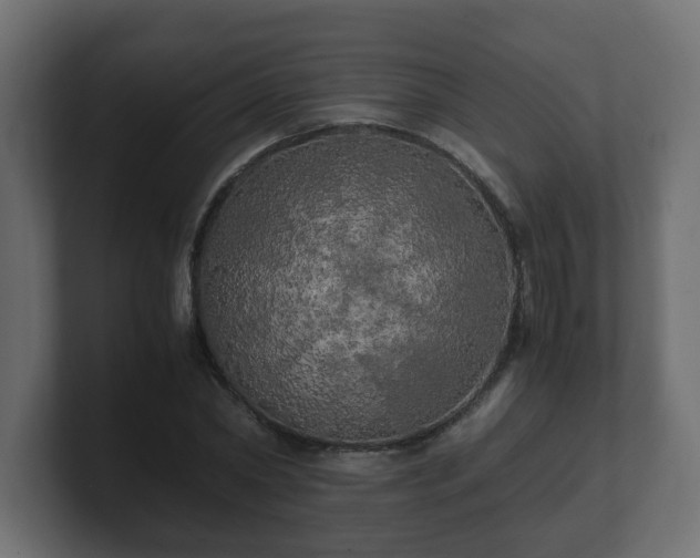 X0000100760782200806261604