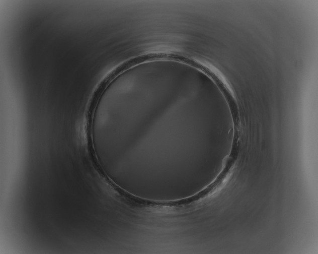 X0000100760783200806261604