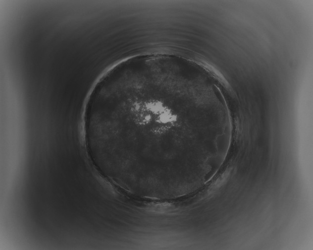 X0000100760784200806261604