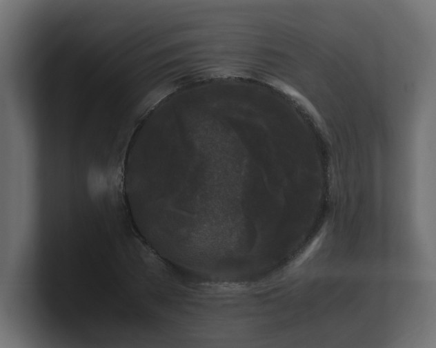 X0000100760785200806261604