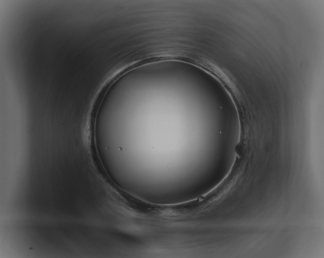 X0000100760787200806261604