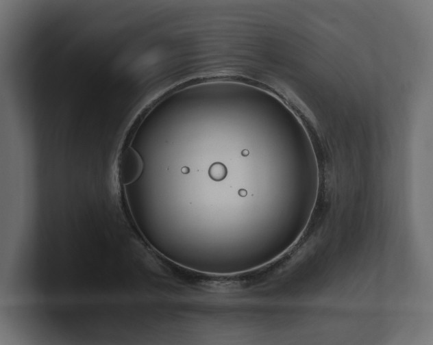 X0000100760789200806261604