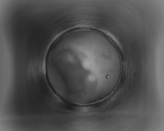 X0000100760791200806261604