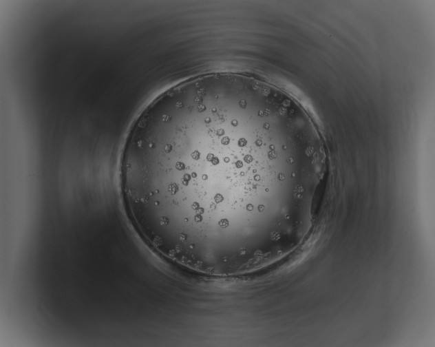 X0000100760803200806261603