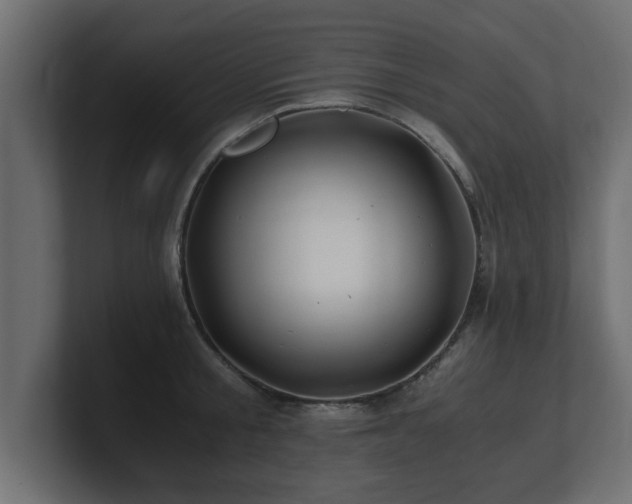 X0000100760805200806261603