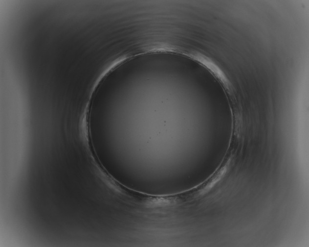 X0000100760806200806261603