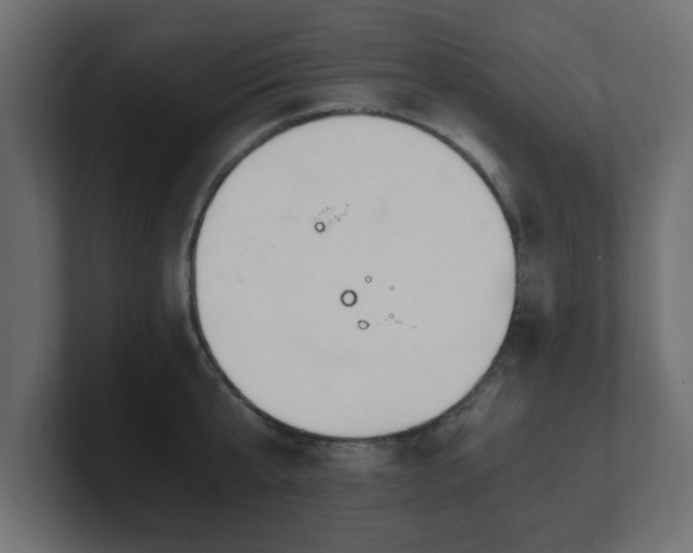 X0000100760807200806261603