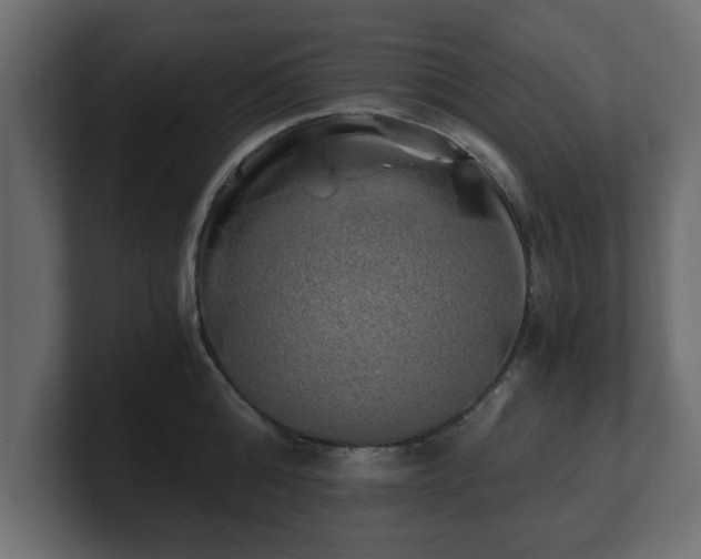 X0000100760808200806261603