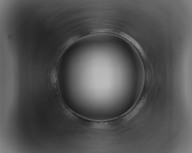 X0000100760809200806261603