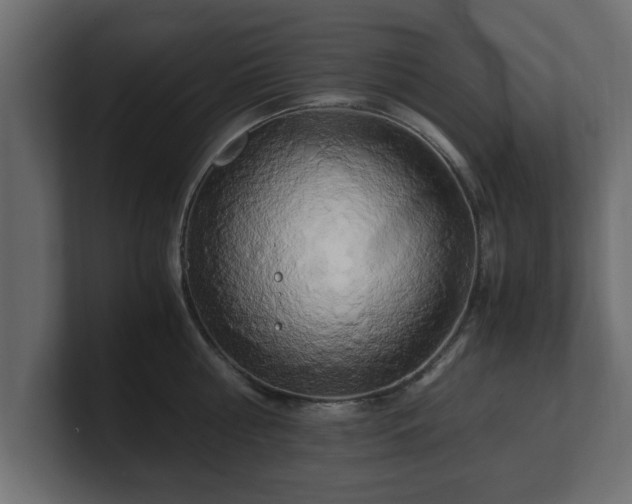 X0000100760810200806261603