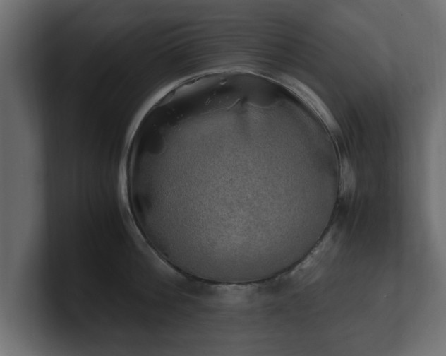 X0000100760812200806261603