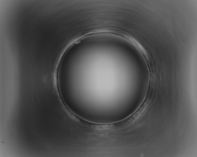 X0000100760813200806261603