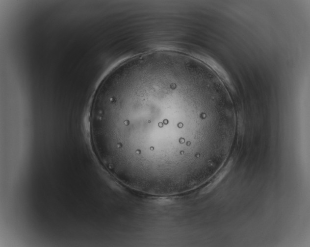 X0000100760814200806261603