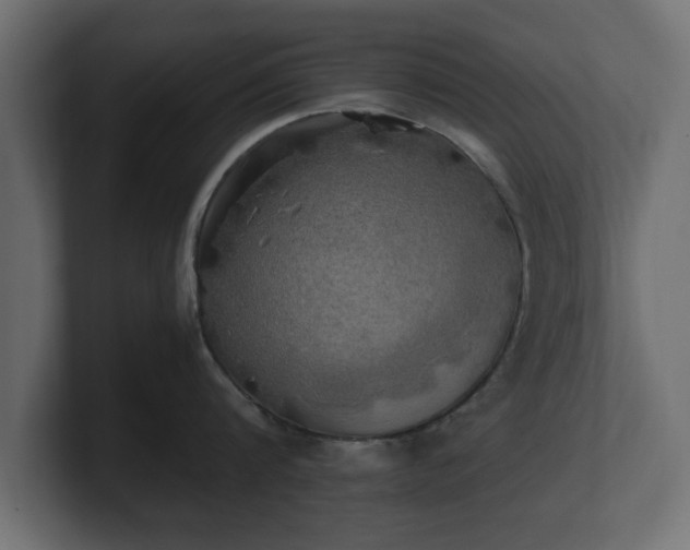 X0000100760816200806261603