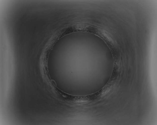 X0000100760817200806261603