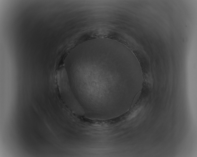 X0000100760818200806261603