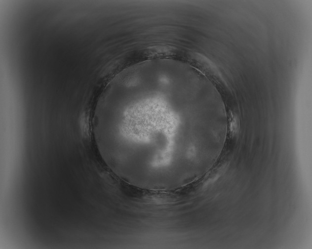 X0000100760819200806261603