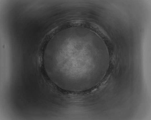 X0000100760821200806261603