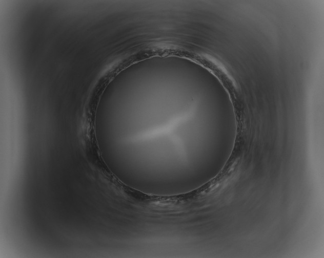 X0000100760823200806261603