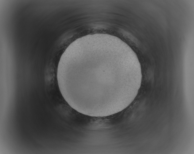 X0000100760824200806261603