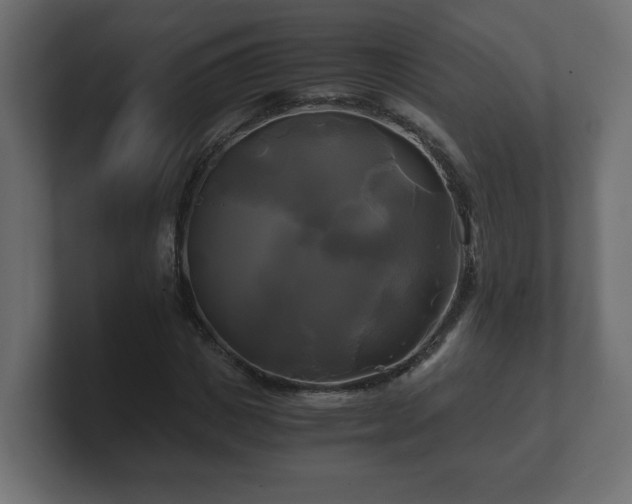 X0000100760825200806261603