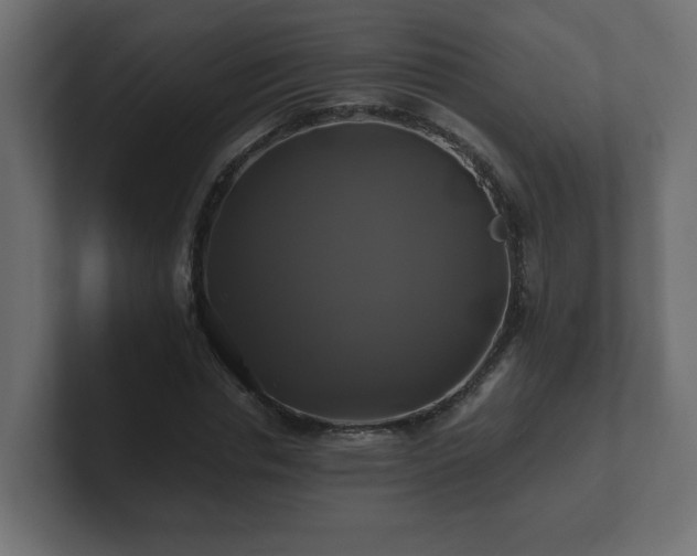 X0000100760826200806261603