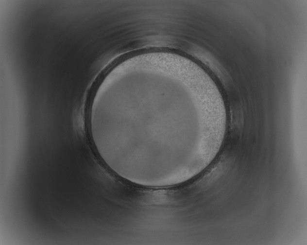 X0000100760828200806261603