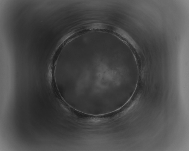 X0000100760829200806261603