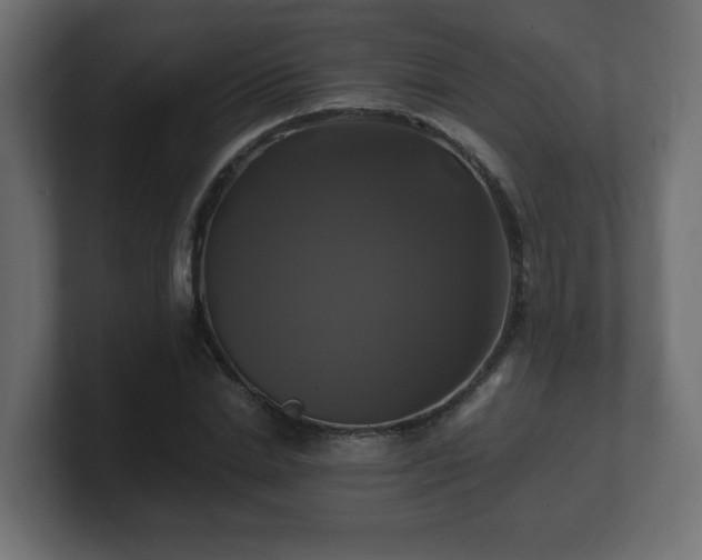 X0000100760830200806261603