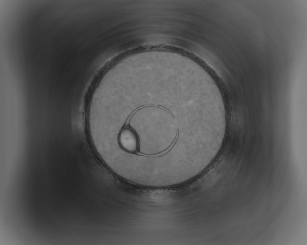 X0000100760832200806261603