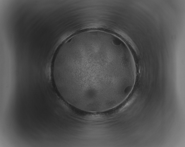 X0000100760834200806261603