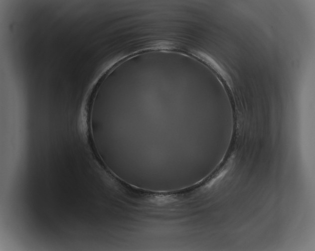 X0000100760835200806261603