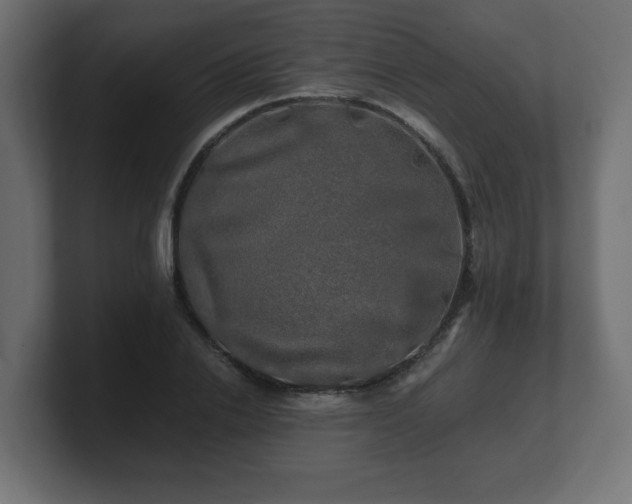 X0000100760838200806261603