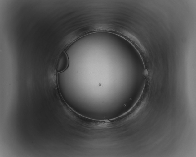 X0000100760841200806261603