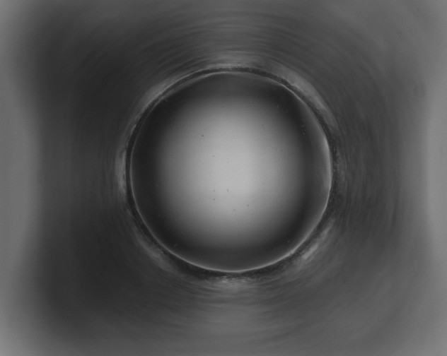 X0000100760842200806261603