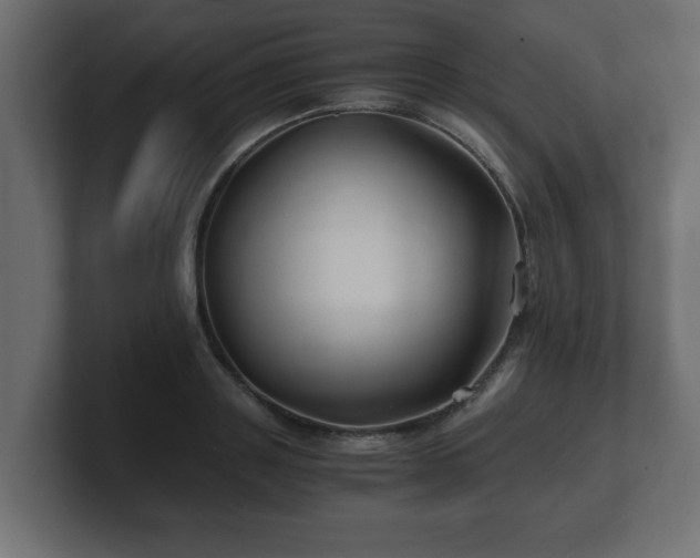 X0000100760843200806261603