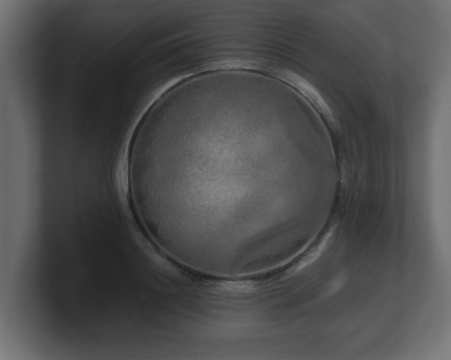 X0000100760844200806261603