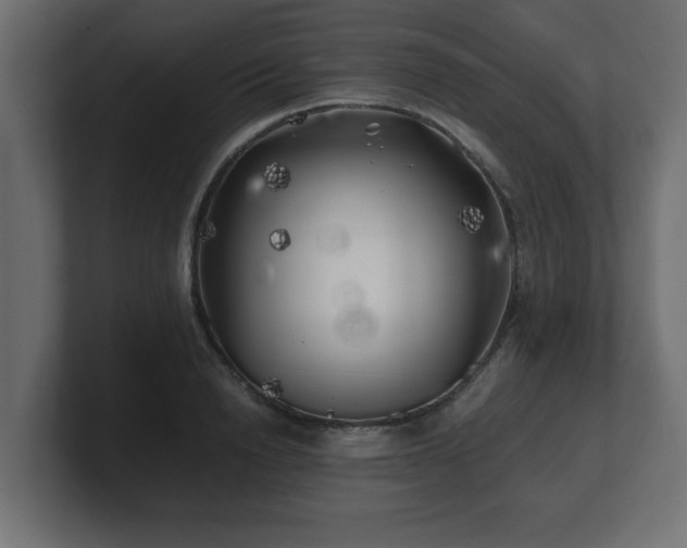 X0000100760846200806261603