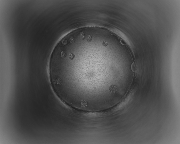 X0000100760847200806261603