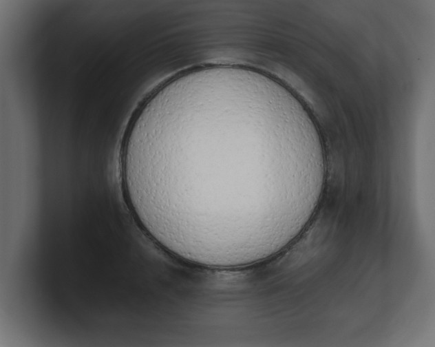 X0000100760848200806261603