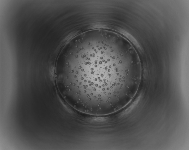 X0000100760849200806261603