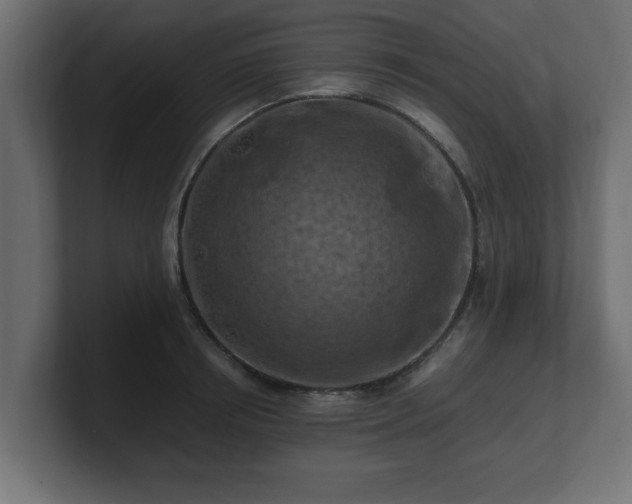 X0000100760850200806261603