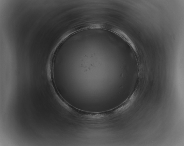 X0000100760851200806261603