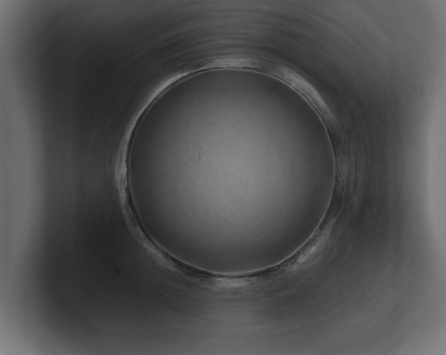 X0000100760852200806261603