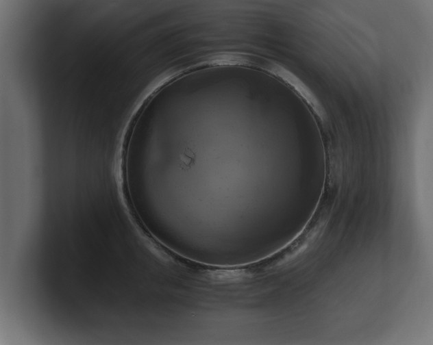 X0000100760853200806261603