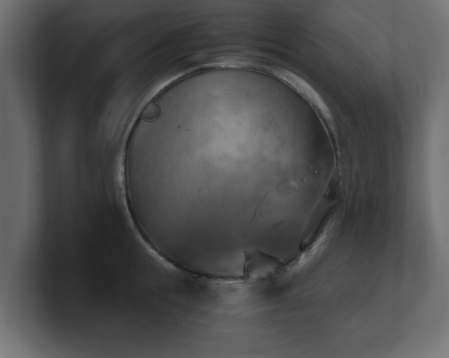 X0000100760855200806261603