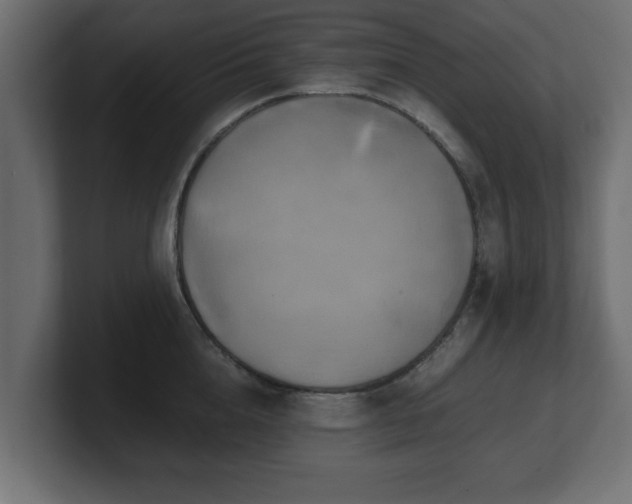 X0000100760856200806261603