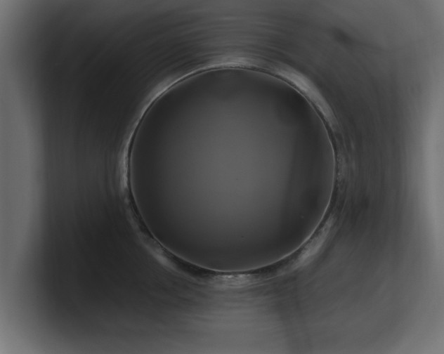 X0000100760858200806261603