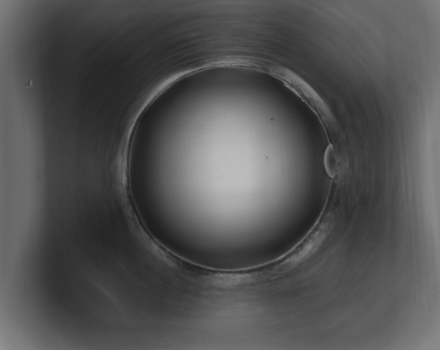 X0000100760860200806261603